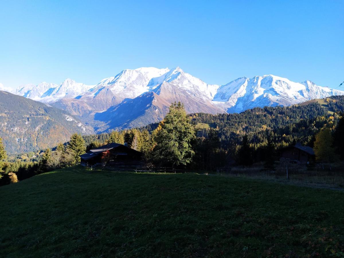 Apartamento St Gervais Le Topaze